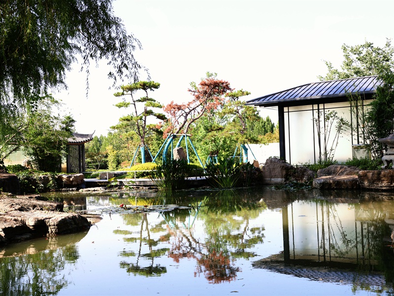 藏山苑园区风光