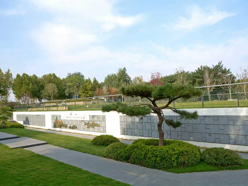 藏山苑园区风光