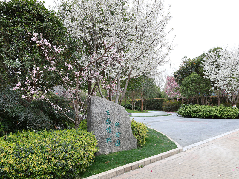 公益生态葬纪念园