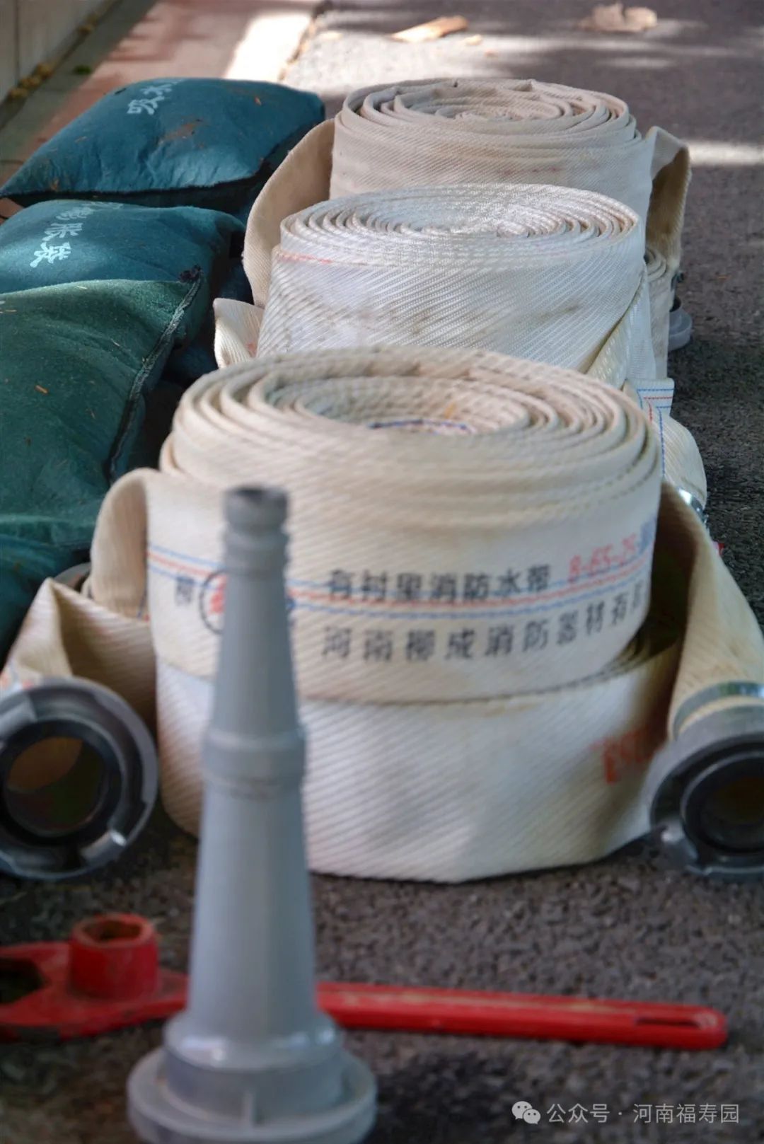 实训实练